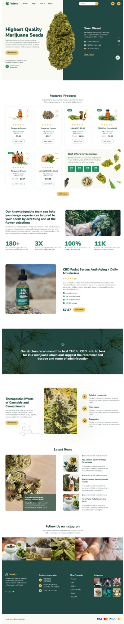 Vaidya website built by Makes360