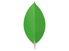 MongoDB logo